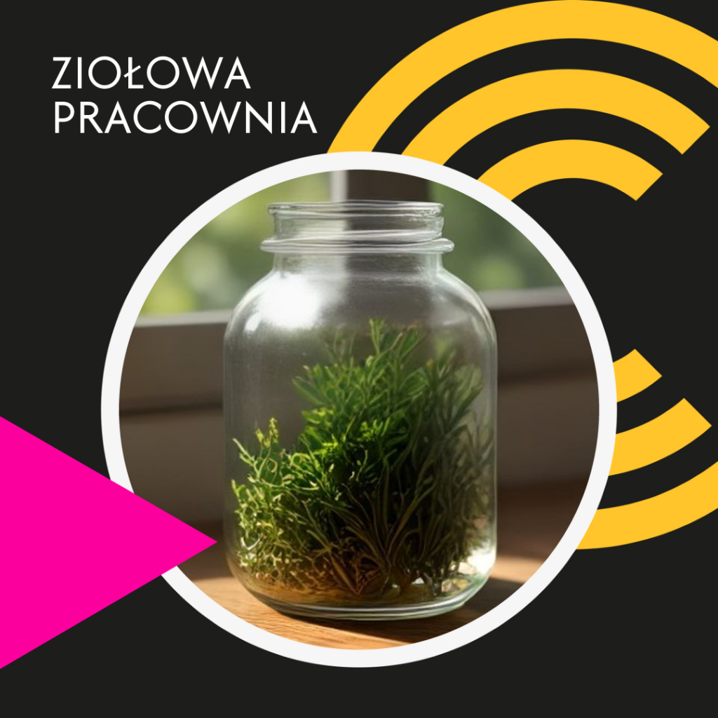 Zobacz szczegóły zajęć