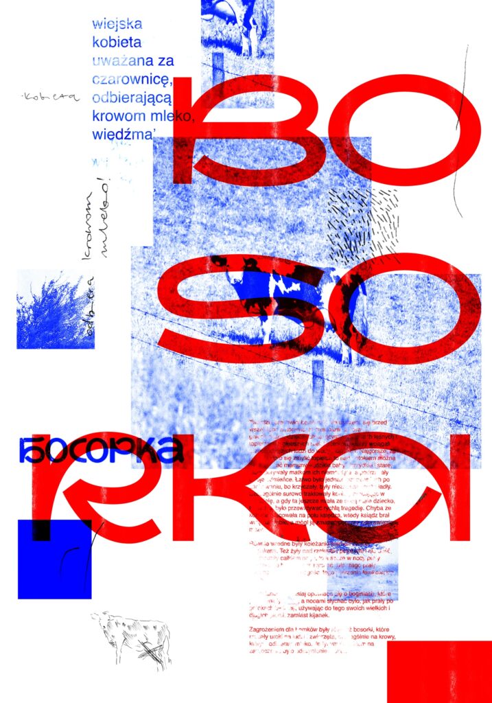Plakat o białym tle z wielkimi, czerwonymi cyframi "1800". Zawiera niebieskie bloki tekstu, czerwony tekst opisowy, rysunek krowy oraz łemkowskie słowo "БОСОРКА". Całość utrzymana w klimacie historyczno-folklorystycznym.